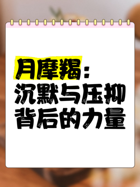 月亮魔羯城府深吗_如何相处