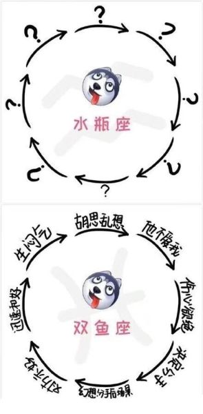 水瓶克双鱼吗_如何化解星座冲突