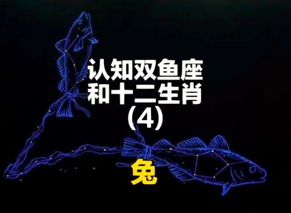 属兔双鱼女不厉害_是真的吗