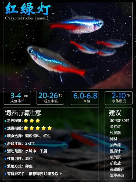 霓双鱼是什么_霓双鱼怎么读