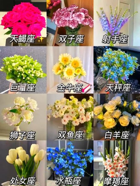 花之天蝎座适合什么花_天蝎座幸运花有哪些