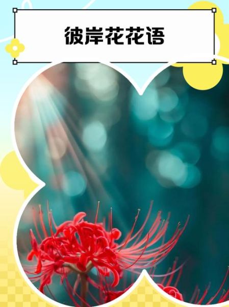 天蝎座守护花彼岸花的花语_彼岸花适合天蝎座吗