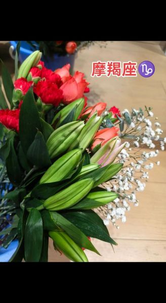 魔羯座适合养什么盆栽_哪些绿植能提升事业运