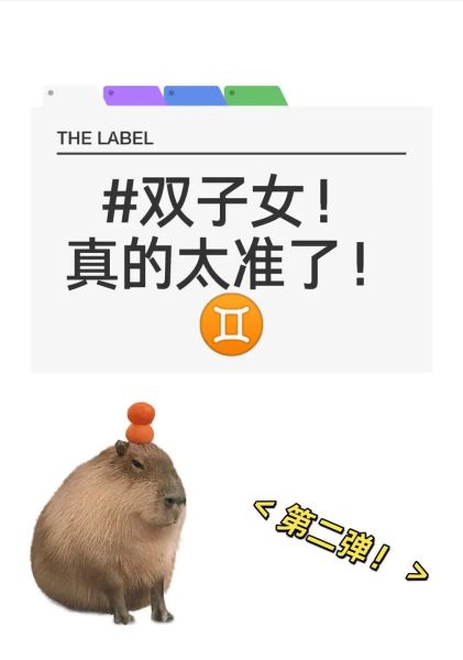 双子女吸引哪些星座女人_双子女魅力解析