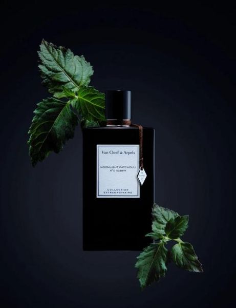 双子座女生适合什么香水_香水双子女推荐