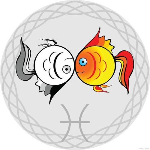 漾双鱼是什么_漾双鱼适合哪些人群