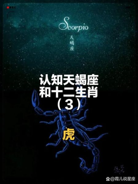 天蝎座虎性格特点_天蝎座虎爱情运势