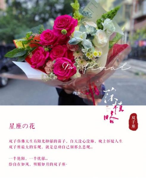 双子女是人间宝藏吗_双子女性格优缺点