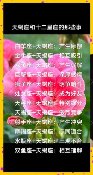 天蝎座知心朋友星座_哪些星座最懂天蝎