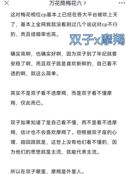 双子和魔羯谁厉害啊_性格对比全解析
