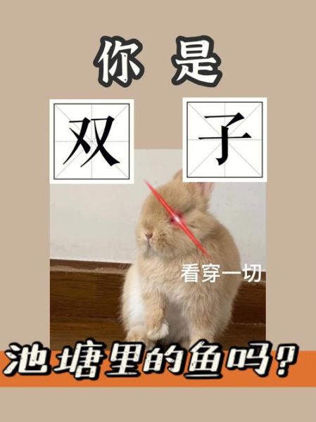 双子女会有鱼塘吗_双子女养鱼表现