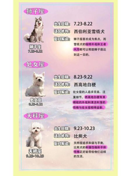 属狗魔羯水瓶座男人爱情_如何相处