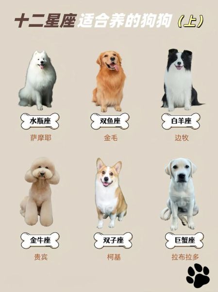 魔羯座狗狗名字大全_适合魔羯座的狗狗名字有哪些