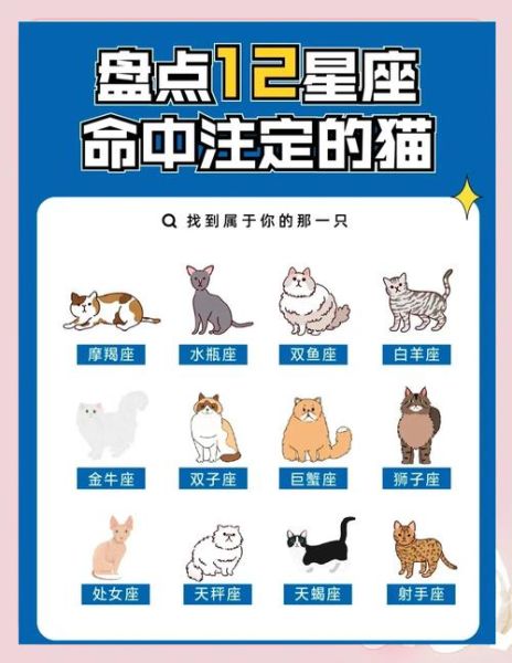 天蝎座适合养什么猫_天蝎座养猫推荐