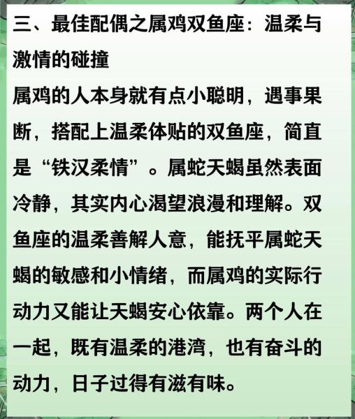 属蛇天蝎座女性格特点_如何相处