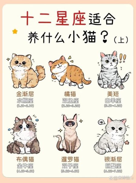 双鱼座适合养猫吗_微博热门话题解析