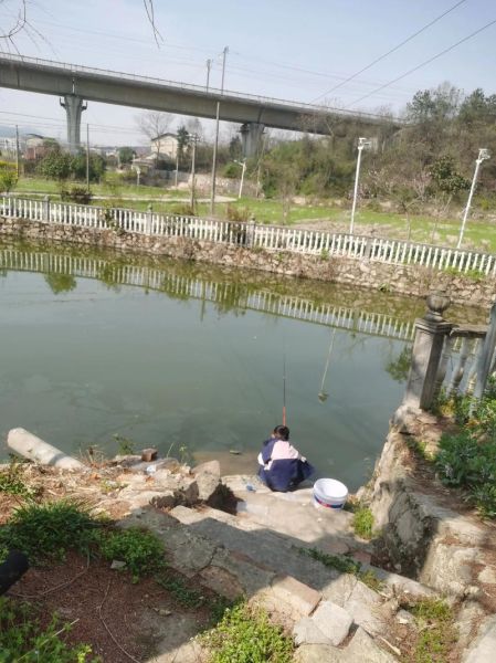 双鱼塘钓鱼技巧_双鱼塘最佳钓位怎么选